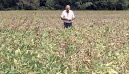 Decreto ajuda produtores rurais a reduzir prejuízos em função da estiagem