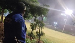 Guarda encontra plantação de maconha ao lado de campo de futebol