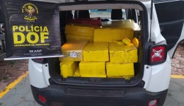 DOF apreende veículo furtado que iria para Goiânia com mais de 700 quilos de maconha
