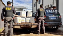 DOF prende casal transportando mais de R$ 400 mil em agrotóxicos do PY