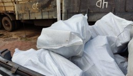 PF apreende mais de 2 toneladas de maconha em bancos de cimento