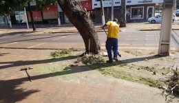 Prefeitura de Dourados avança em processo licitatório para Limpeza Pública