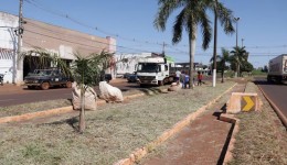 Prefeitura inicia roçada e limpeza no prolongamento da Marcelino Pires