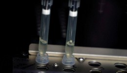 Laboratório da Fiocruz será referência em varíola dos macacos