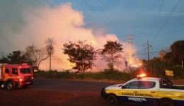 Incêndio ocorrido no Viveiro Municipal mobiliza equipes da Prefeitura de Dourados