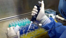 Casos de varíola dos macacos em Dourados são considerados curados