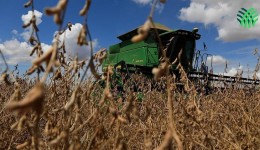 Entenda os impactos da produção de grãos na rotina do sul-mato-grossense