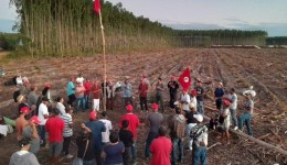 Sob Lula, invasões de terra já superam as do primeiro ano do governo Bolsonaro