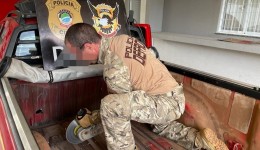 Polícia Civil apreende 50 kg de cocaína em operação de combate ao tráfico na fronteira com o Paraguai