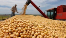 Valor da produção agrícola do MS será recorde em 2023: R$ 55,78 bilhões