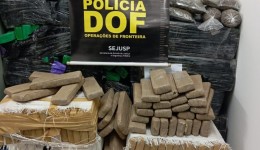 DOF apreende 173 quilos de droga em área de mata em Ponta Porã