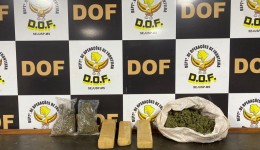 DOF apreende drogas abandonadas às margens de rodovia em Dourados