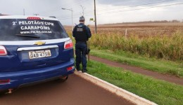 Homem é encontrado morto à beira da rodovia Guaicurus em Dourados