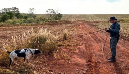 Com auxílio de cães farejadores, polícia continua buscas por corpo de indígena