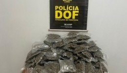 Genro e sogra que seguiam com droga para o Paraná são presos pelo DOF